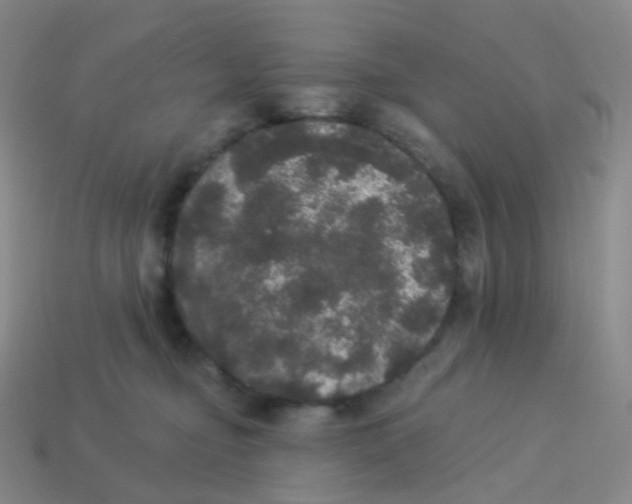 X0000113550374200910161439