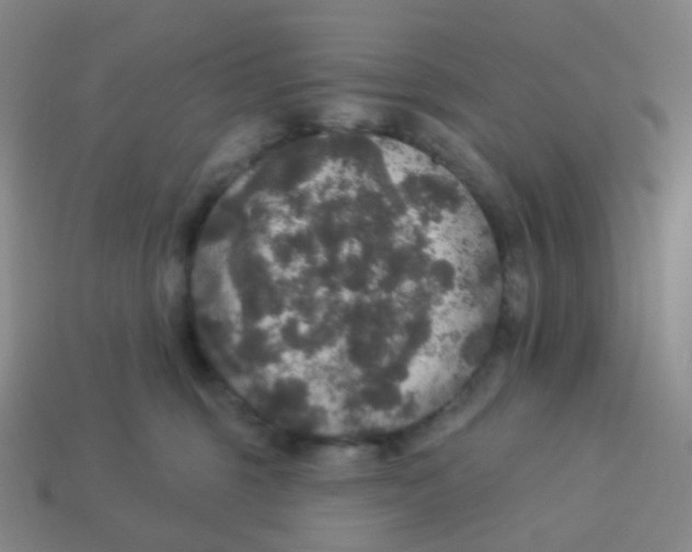 X0000113550375200910161439