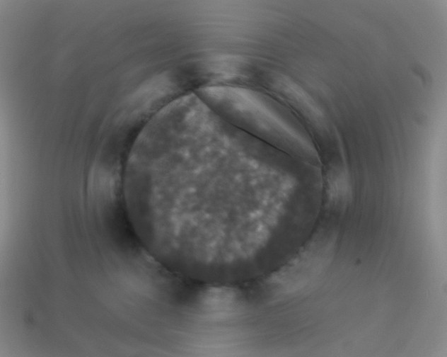 X0000113550376200910161439