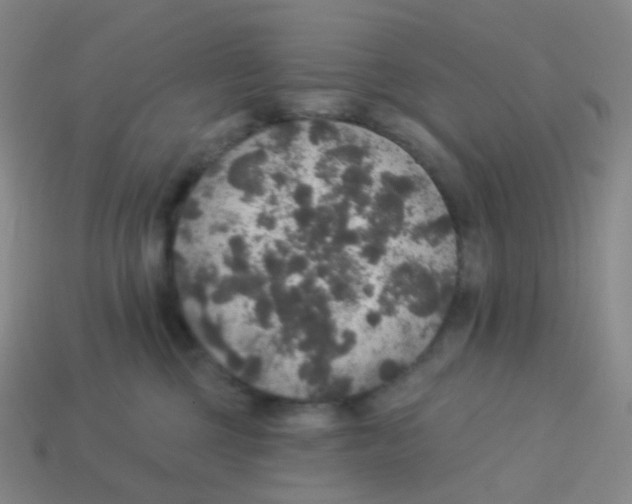 X0000113550377200910161439