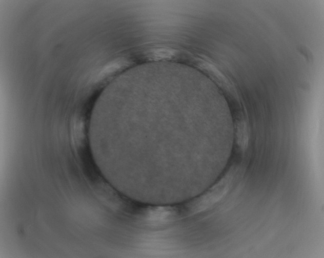 X0000113550378200910161439