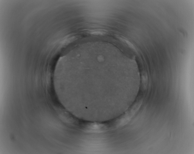 X0000113550379200910161439