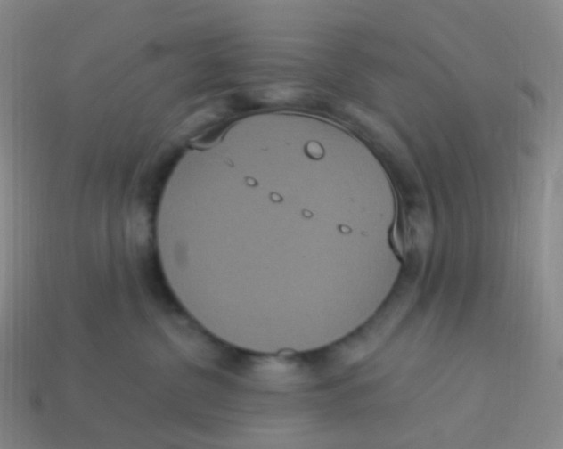 X0000113550380200910161439