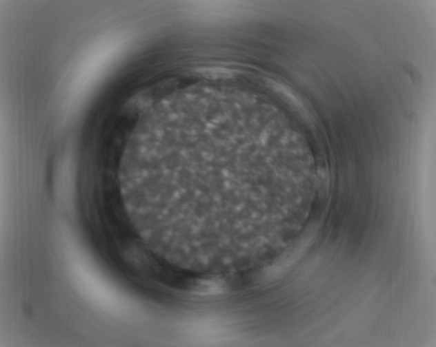X0000113550381200910161439