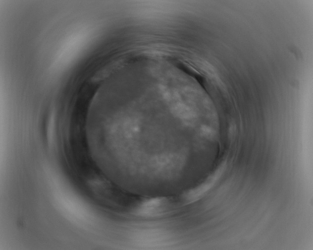 X0000113550382200910161439