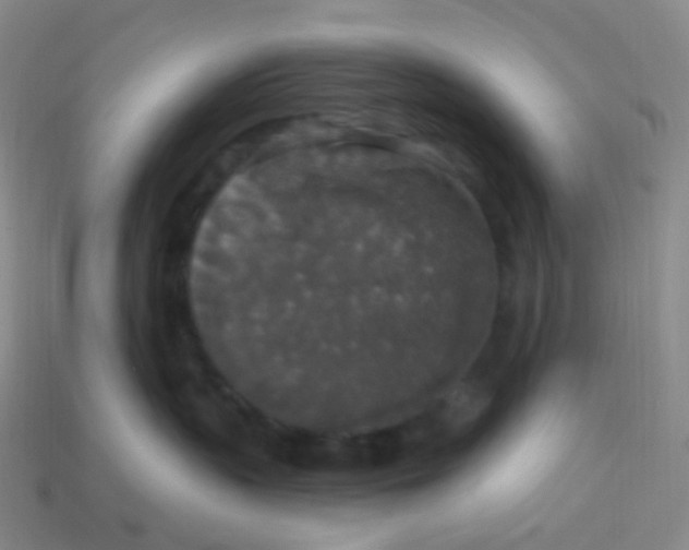 X0000113550383200910161439