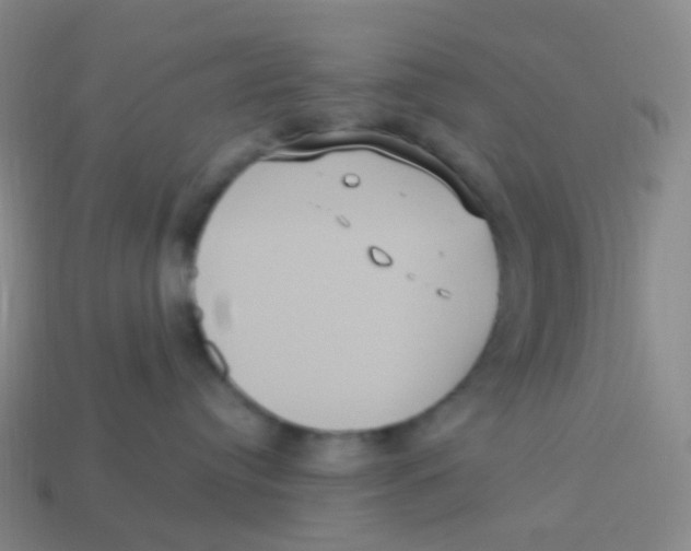 X0000113550384200910161439