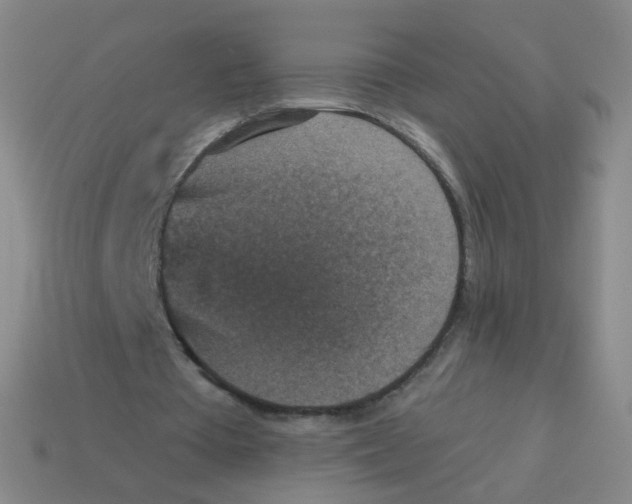 X0000113550385200910161439