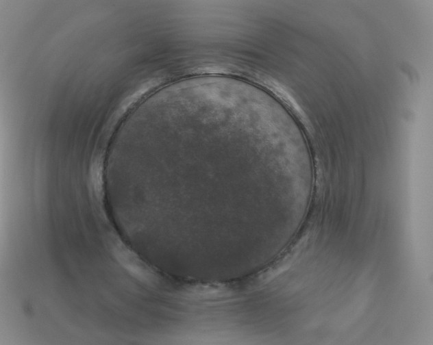 X0000113550386200910161439