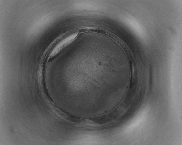 X0000113550387200910161439