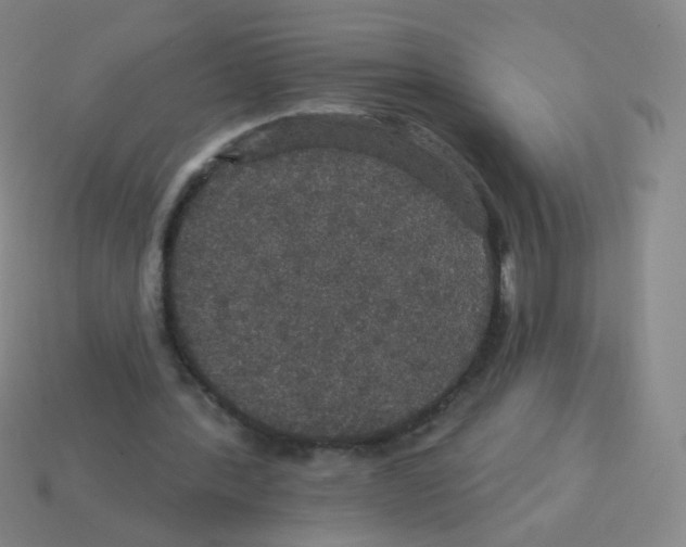 X0000113550388200910161439