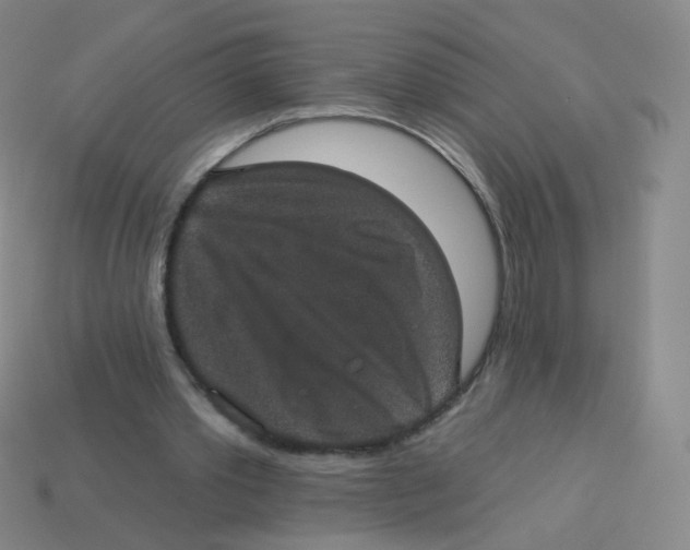 X0000113550389200910161439