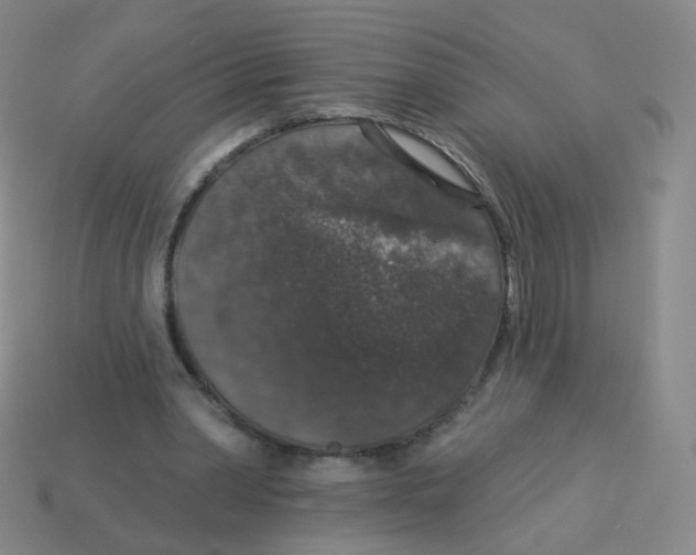 X0000113550390200910161439