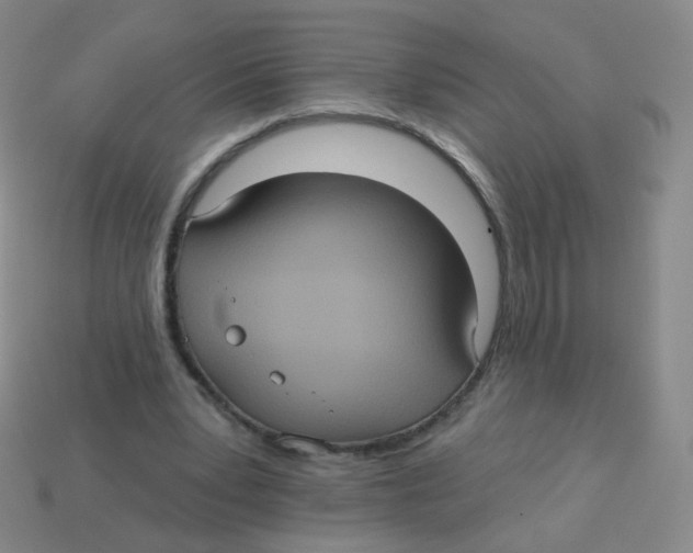 X0000113550391200910161439