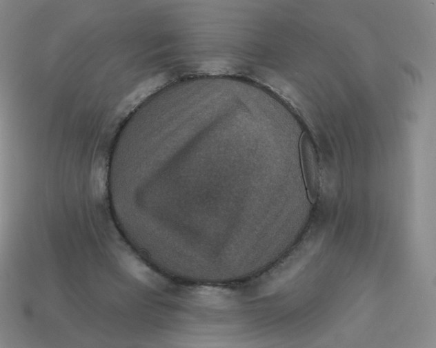 X0000113550393200910161438
