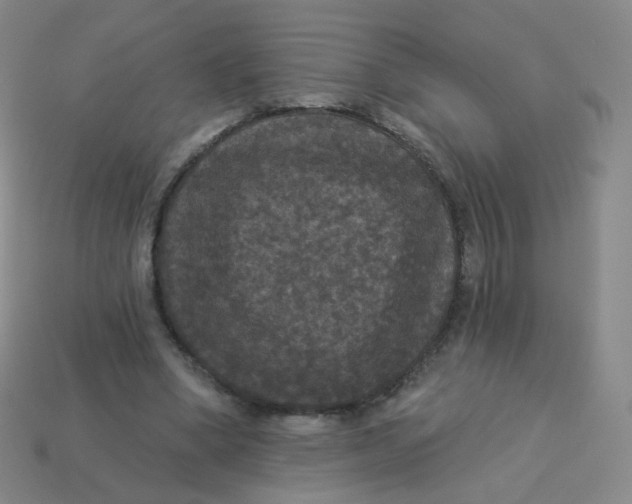 X0000113550394200910161438
