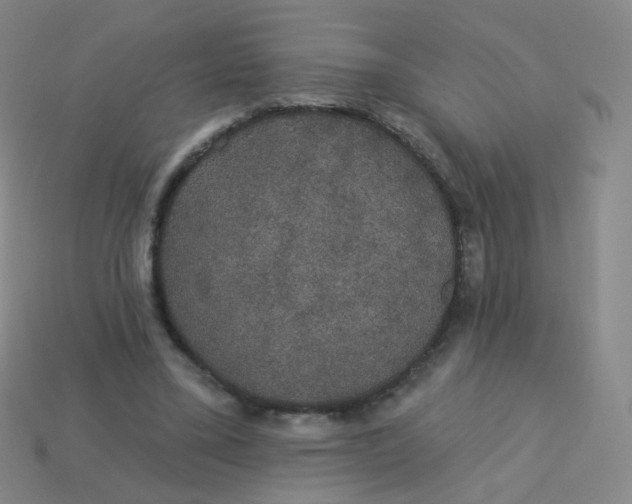 X0000113550395200910161438