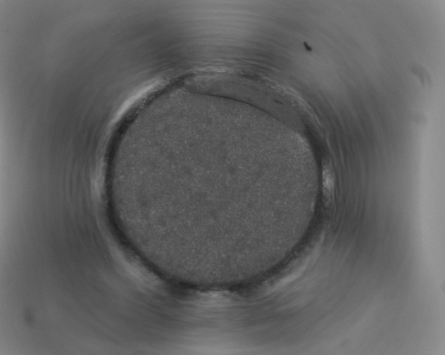 X0000113550396200910161438