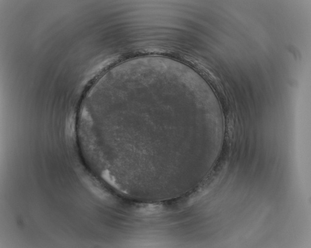 X0000113550398200910161438