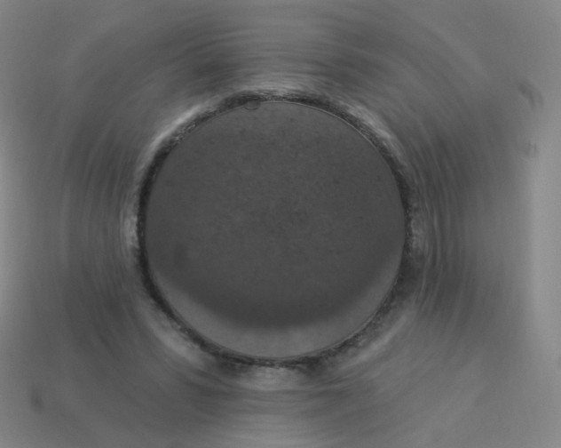 X0000113550399200910161438