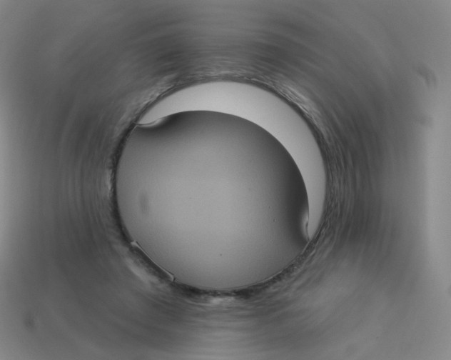 X0000113550401200910161438
