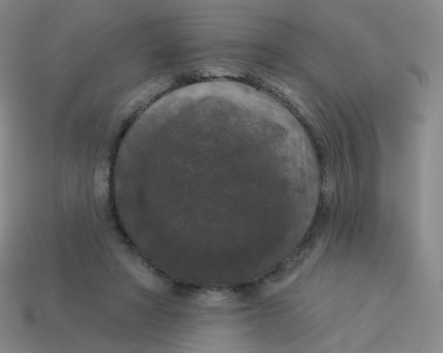X0000113550402200910161438