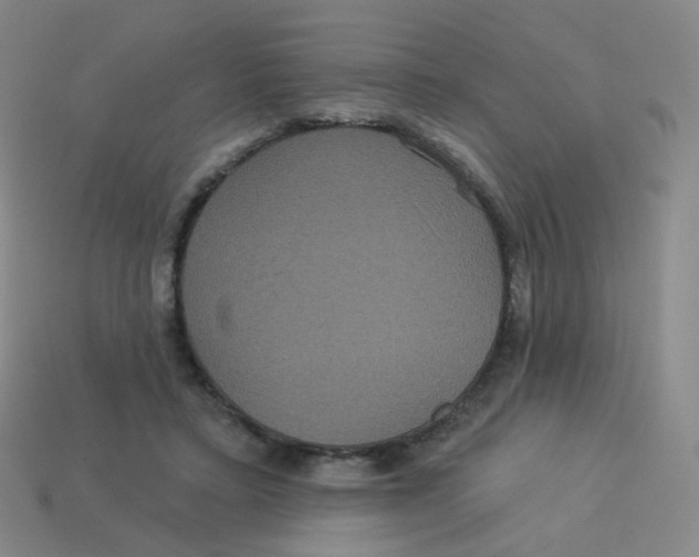 X0000113550403200910161438