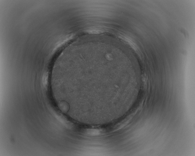 X0000113550404200910161438
