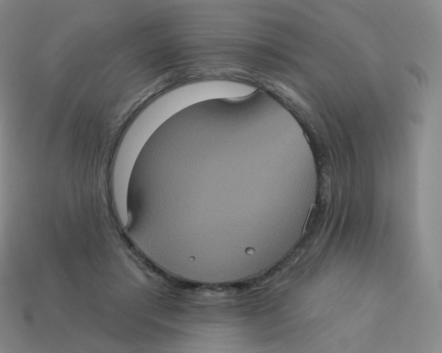 X0000113550405200910161438