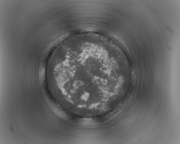 X0000113550406200910161438