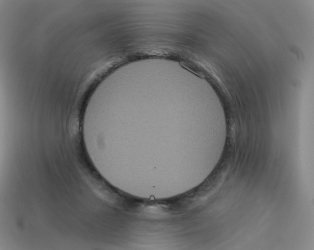 X0000113550407200910161438