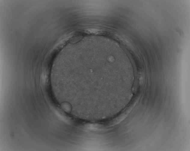 X0000113550408200910161438
