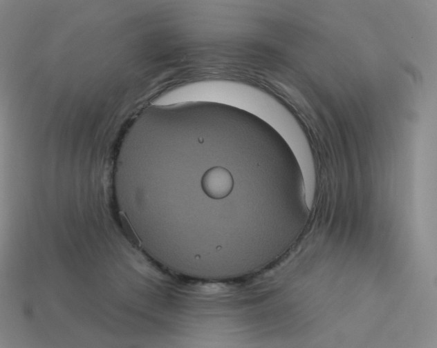 X0000113550409200910161438