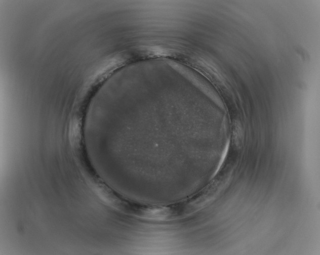 X0000113550410200910161438