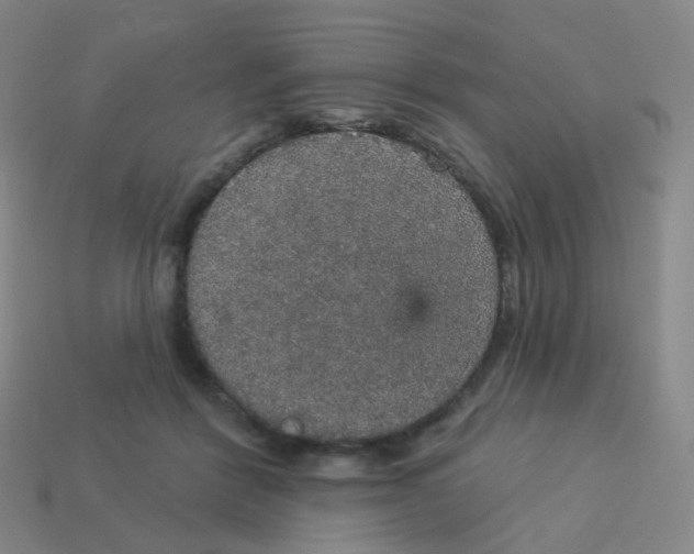 X0000113550412200910161438