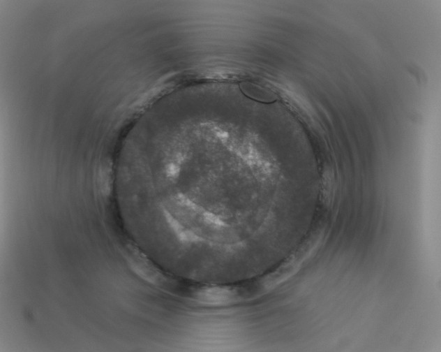X0000113550413200910161438