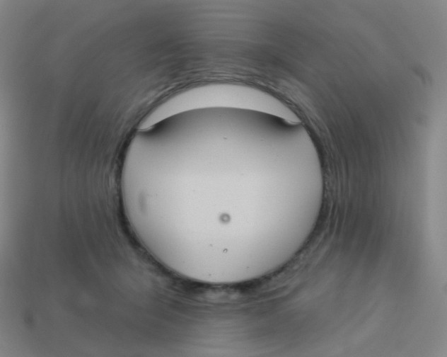 X0000113550415200910161438