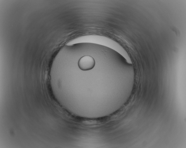 X0000113550417200910161438