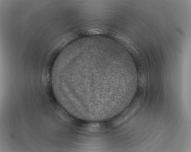 X0000113550418200910161438