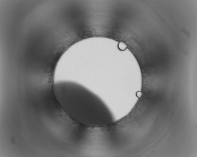 X0000113550419200910161438