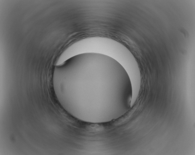 X0000113550421200910161438