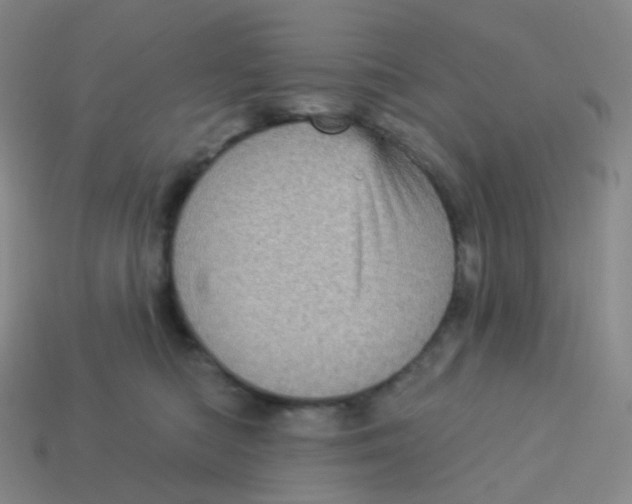 X0000113550422200910161438