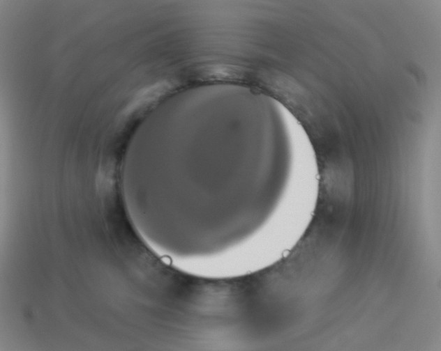 X0000113550423200910161438