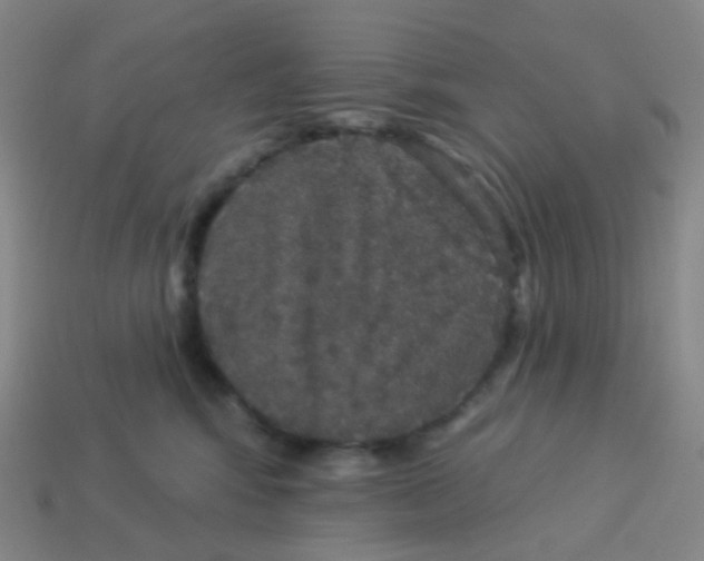 X0000113550424200910161438