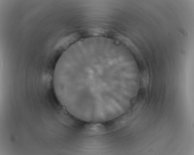 X0000113550427200910161438