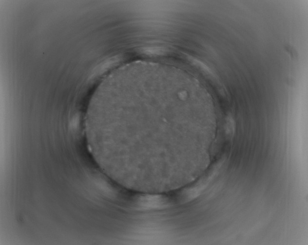 X0000113550428200910161438