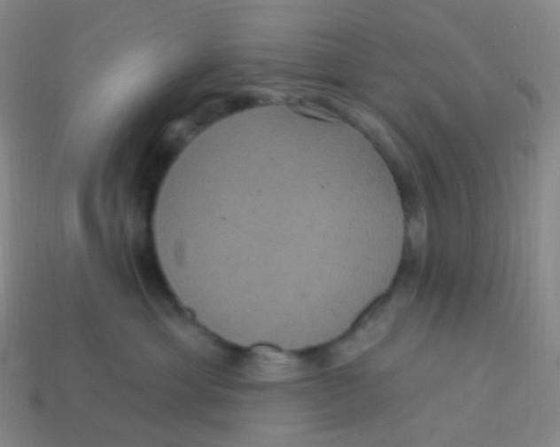 X0000113550429200910161438