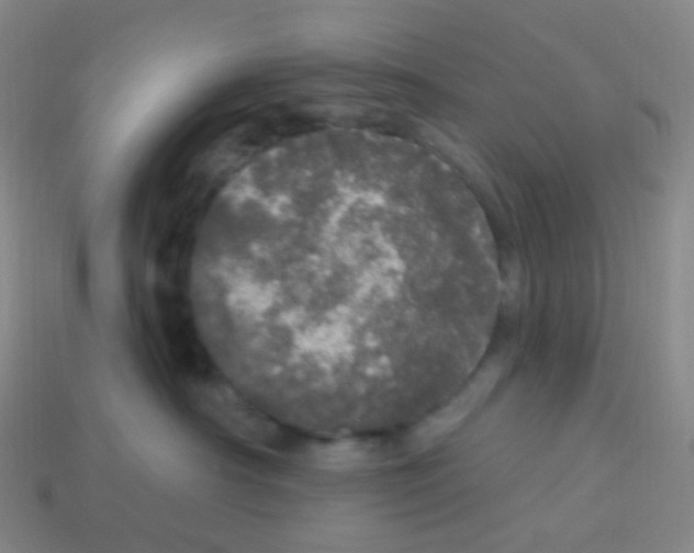 X0000113550430200910161438