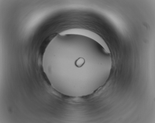 X0000113550431200910161438