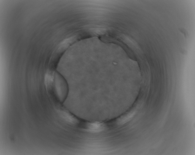 X0000113550432200910161438